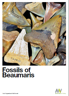 Museum Fossil Book