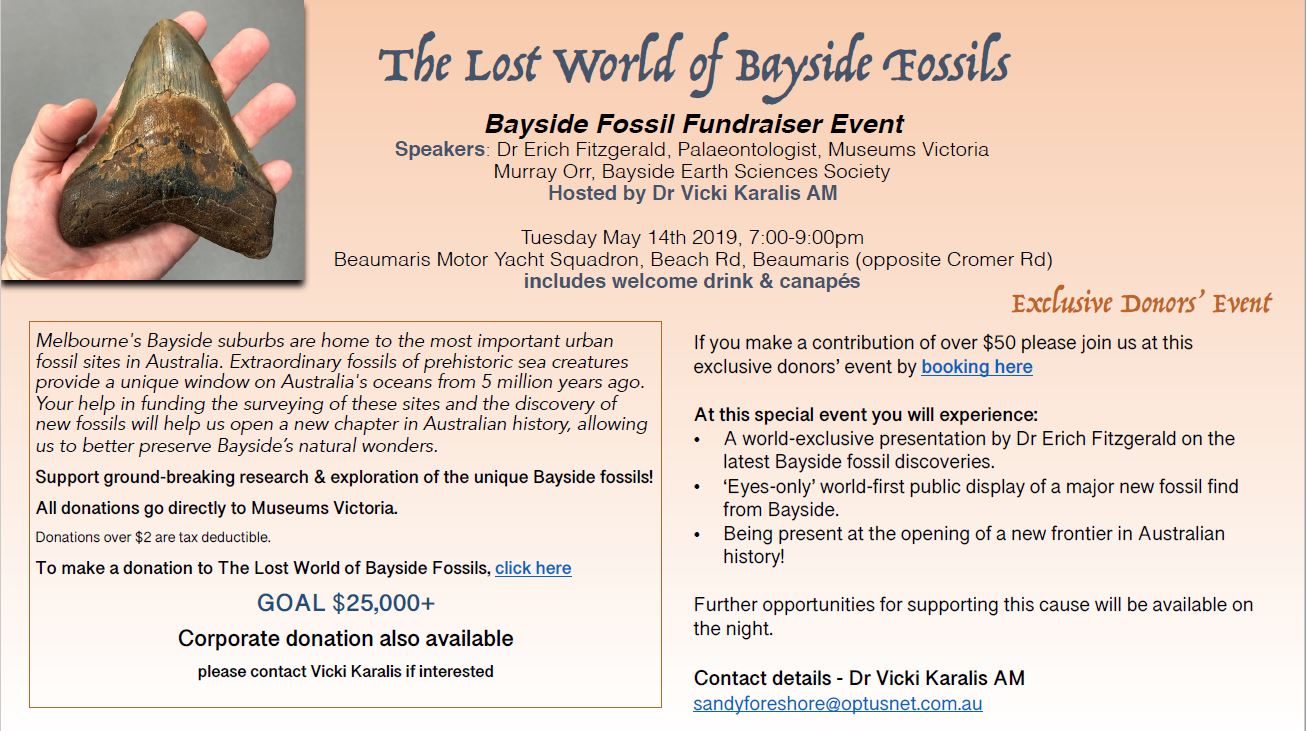 Bayside Fossils Fundraiser