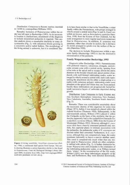 This image has an empty alt attribute; its file name is 114.jpg