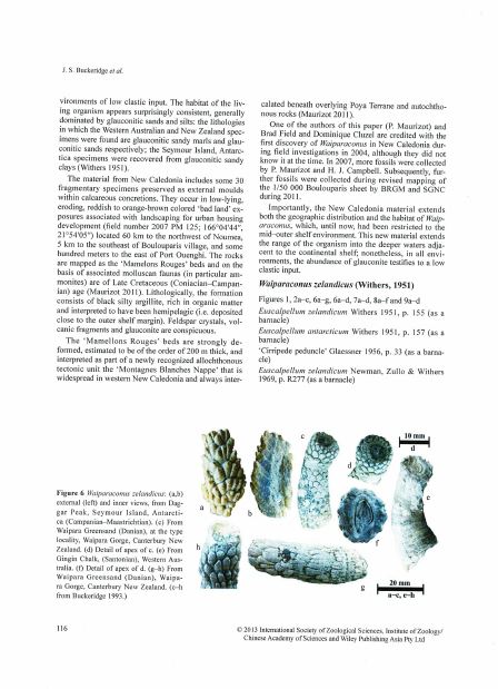 This image has an empty alt attribute; its file name is 116.jpg