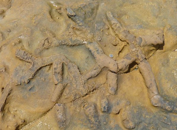 This image has an empty alt attribute; its file name is october-photo.jpg