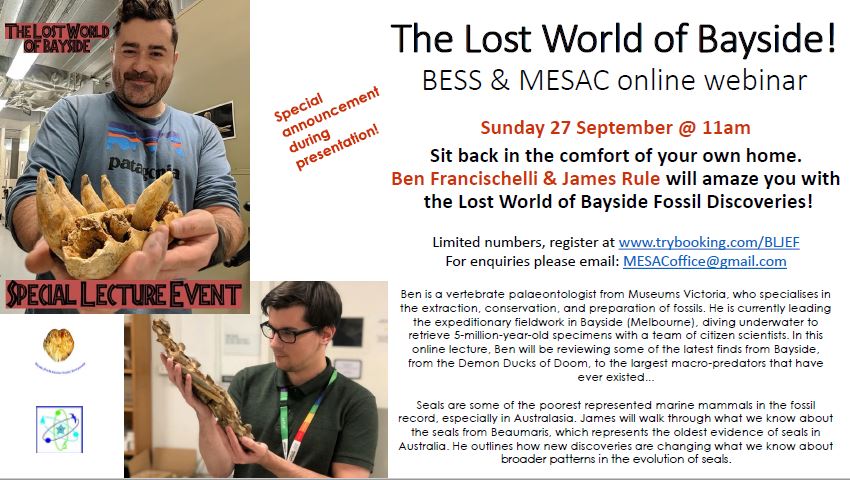 This image has an empty alt attribute; its file name is webinar.jpg