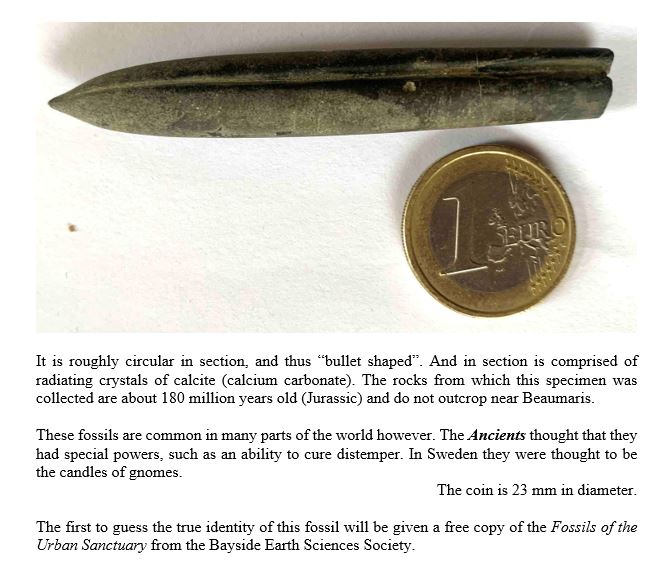 This image has an empty alt attribute; its file name is july.jpg