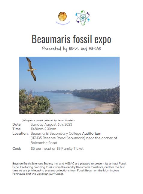 This image has an empty alt attribute; its file name is 1.jpg